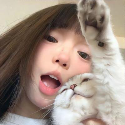 鲨鱼开大口