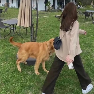 唯一宝贝